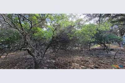 16082 Charlya Drive, Temple, TX 76502 - Photo 11