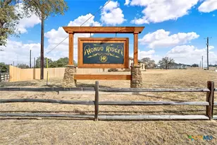 100 Hondo Rdg, La Vernia, TX 78121 - Photo 3