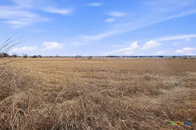 Tbd-20 Acres Tbd Cr 255, Gatesville, TX 76528 - Photo 5