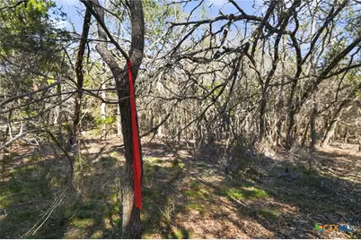 00 Royal Street, Salado, TX 76571 - Photo 3