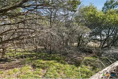 00 Royal Street, Salado, TX 76571 - Photo 13