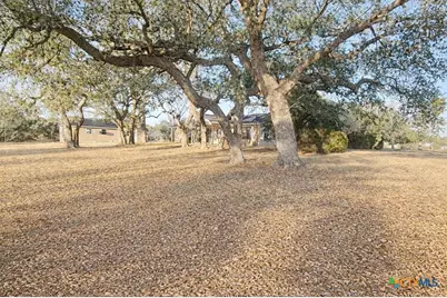 2950 W Fm 884, Yorktown, TX 78164 - Photo 3