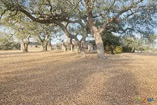 2950 W Fm 884, Yorktown, TX 78164 - Photo 3