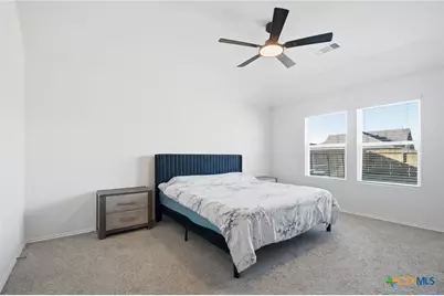 425 Lancebill Drive, Lockhart, TX 78644 - Photo 19