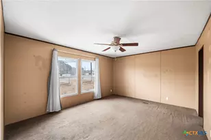 3814 New Mathis Rd, Elmendorf, TX 78112 - Photo 3