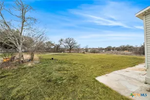 3814 New Mathis Rd, Elmendorf, TX 78112 - Photo 27