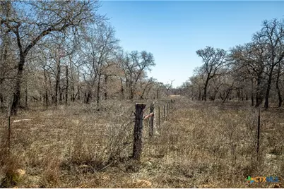 1387 County Road 304, Floresville, TX 78114 - Photo 17
