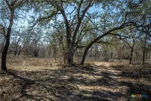 1387 County Rd 304, Floresville, TX 78114 - Photo 39