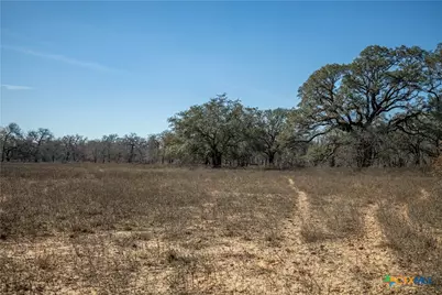 1387 County Road 304, Floresville, TX 78114 - Photo 41