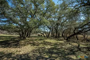 1387 County Rd 304, Floresville, TX 78114 - Photo 27
