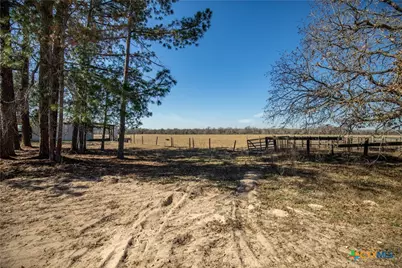 1387 County Road 304, Floresville, TX 78114 - Photo 21