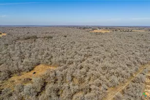 1387 County Rd 304, Floresville, TX 78114 - Photo 5