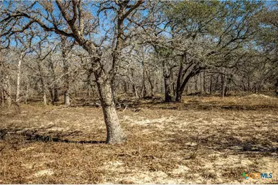 1387 County Road 304, Floresville, TX 78114 - Photo 43