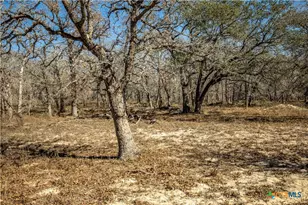 1387 County Rd 304, Floresville, TX 78114 - Photo 43