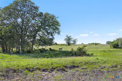 1310 N Nassau Road, Round Top, TX 78954 - Photo 13