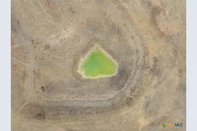 1310 N Nassau Road, Round Top, TX 78954 - Photo 3