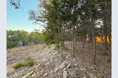 209 Legacy Ridge, Canyon Lake, TX 78133 - Photo 7