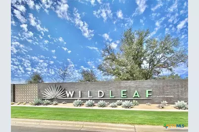 100 Gemini Flora Bend, Leander, TX 78641 - Photo 35