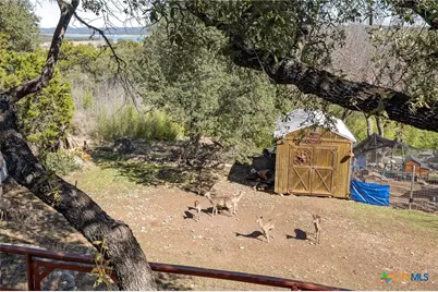 175 Lorne Road, Canyon Lake, TX 78133 - Photo 31