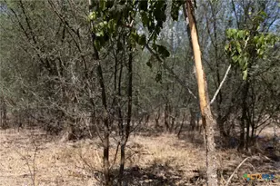 11341 FM340, Moulton, TX 77975 - Photo 11