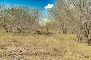 11341 FM340, Moulton, TX 77975 - Photo 25