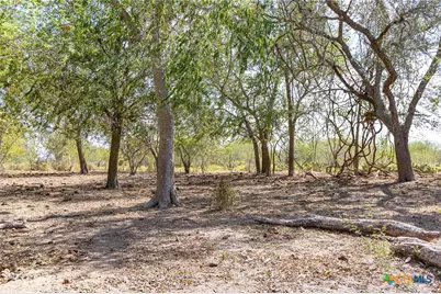 11341 Fm 340, Moulton, TX 77975 - Photo 15