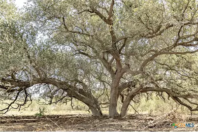 11341 Fm 340, Moulton, TX 77975 - Photo 5