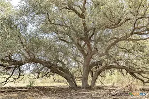 11341 FM340, Moulton, TX 77975 - Photo 5