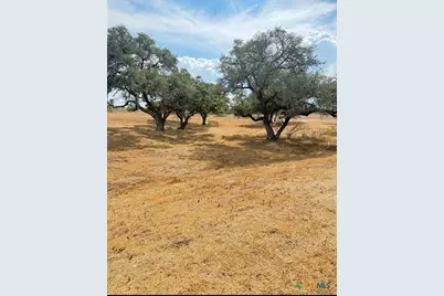 1709 Fm 318, Yoakum, TX 77995 - Photo 13