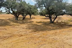 1709 FM318, Yoakum, TX 77995 - Photo 13