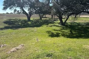 1709 FM318, Yoakum, TX 77995 - Photo 11