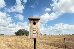 1709 FM318, Yoakum, TX 77995 - Photo 7