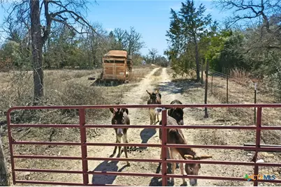 1310 Perry Lane, Thorndale, TX 76577 - Photo 7