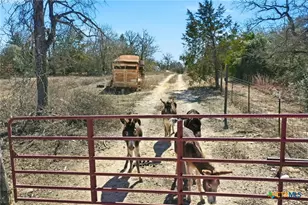 1310 Perry Ln, Thorndale, TX 76577 - Photo 7