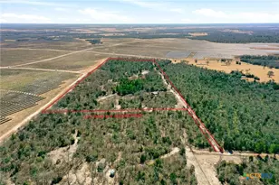 1310 Perry Ln, Thorndale, TX 76577 - Photo 7