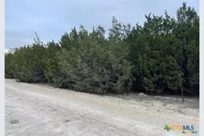 909 Star Lane, Gatesville, TX 76528 - Photo 13