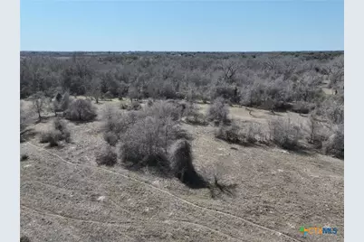 Tbd Lassman Road, Goliad, TX 77963 - Photo 13