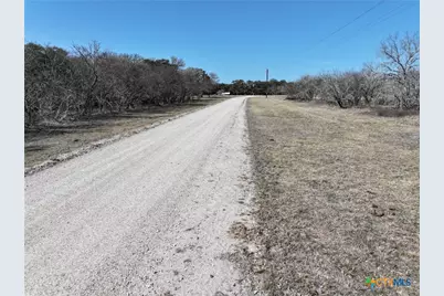 Tbd Lassman Road, Goliad, TX 77963 - Photo 23