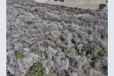 Tbd Lassman Road, Goliad, TX 77963 - Photo 9