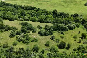 750 Lassman Rd, Goliad, TX 77963 - Photo 11