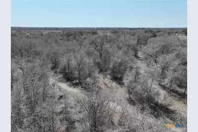 Tbd Lassman Road, Goliad, TX 77963 - Photo 15