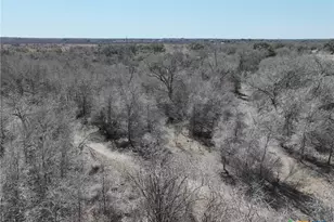 750 Lassman Rd, Goliad, TX 77963 - Photo 15