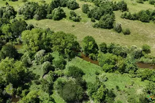 750 Lassman Rd, Goliad, TX 77963 - Photo 17