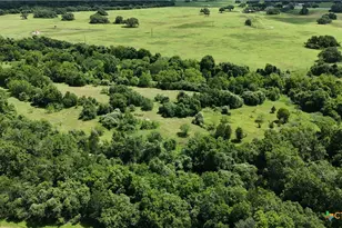 750 Lassman Rd, Goliad, TX 77963 - Photo 9