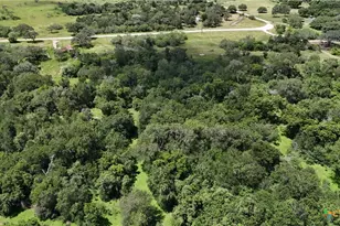 750 Lassman Rd, Goliad, TX 77963 - Photo 23