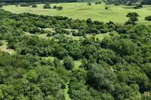 750 Lassman Rd, Goliad, TX 77963 - Photo 7