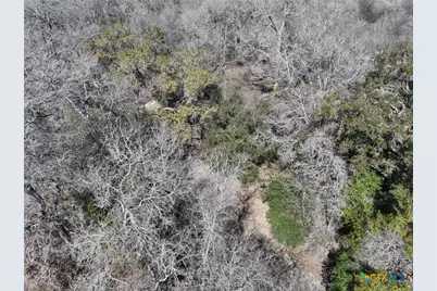 Tbd Lassman Road, Goliad, TX 77963 - Photo 31