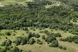 750 Lassman Rd, Goliad, TX 77963 - Photo 19