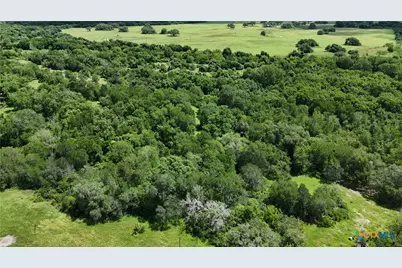750 Lassman Road, Goliad, TX 77963 - Photo 5