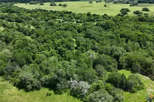 750 Lassman Rd, Goliad, TX 77963 - Photo 5